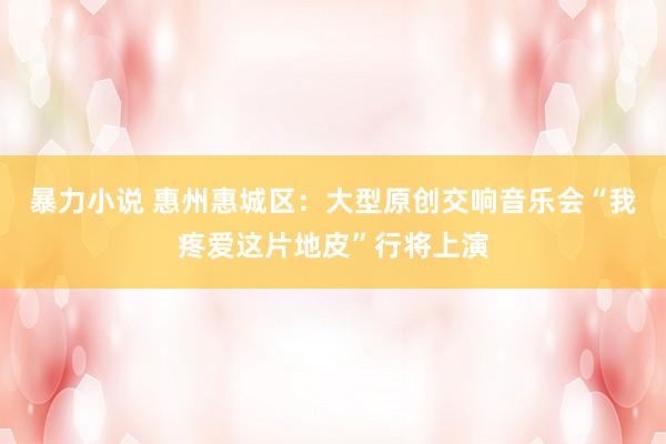 暴力小说 惠州惠城区：大型原创交响音乐会“我疼爱这片地皮”行将上演