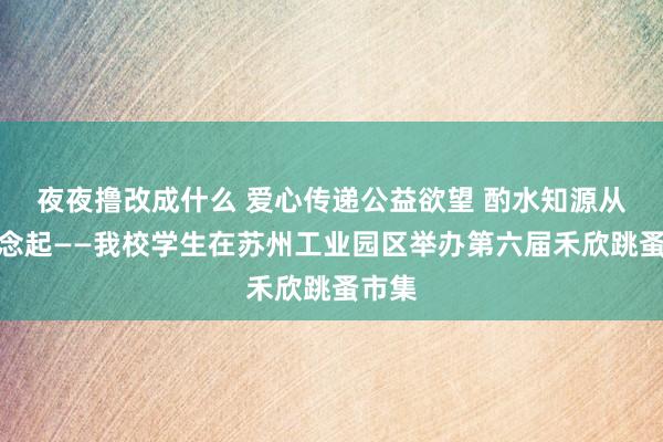 夜夜撸改成什么 爱心传递公益欲望 酌水知源从我作念起——我校学生在苏州工业园区举办第六届禾欣跳蚤市集
