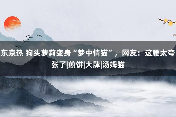 东京热 狗头萝莉变身“梦中情猫”，网友：这腰太夸张了|煎饼|大肆|汤姆猫