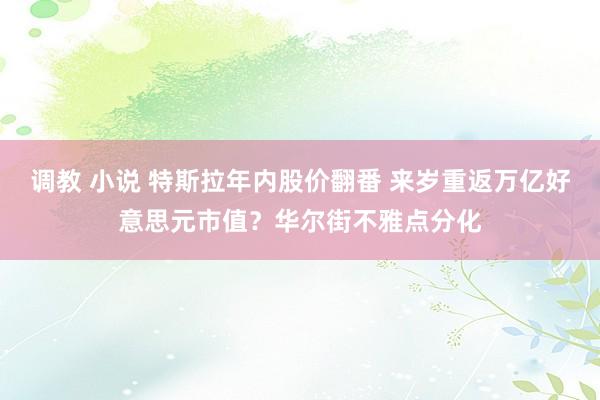 调教 小说 特斯拉年内股价翻番 来岁重返万亿好意思元市值？华尔街不雅点分化