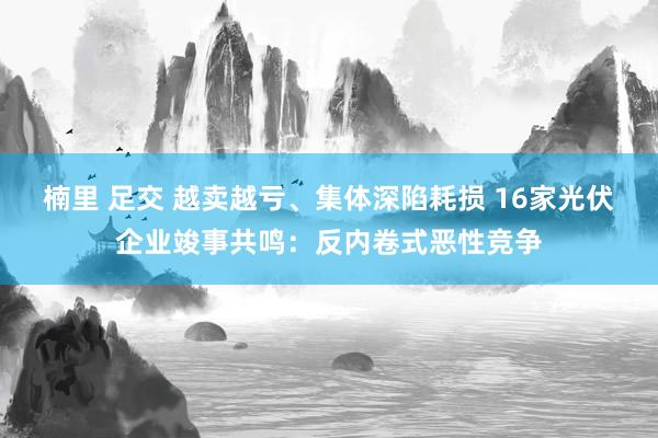 楠里 足交 越卖越亏、集体深陷耗损 16家光伏企业竣事共鸣：反内卷式恶性竞争