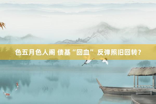 色五月色人阁 债基“回血” 反弹照旧回转？