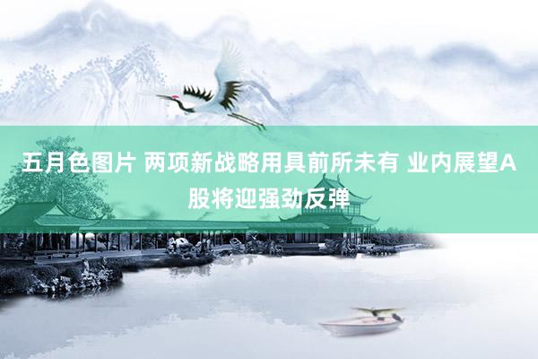 五月色图片 两项新战略用具前所未有 业内展望A股将迎强劲反弹