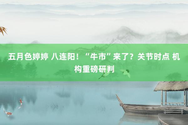 五月色婷婷 八连阳！“牛市”来了？关节时点 机构重磅研判