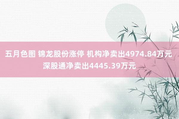五月色图 锦龙股份涨停 机构净卖出4974.84万元 深股通净卖出4445.39万元