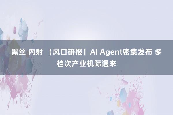 黑丝 内射 【风口研报】AI Agent密集发布 多档次产业机际遇来