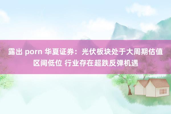 露出 porn 华夏证券：光伏板块处于大周期估值区间低位 行业存在超跌反弹机遇
