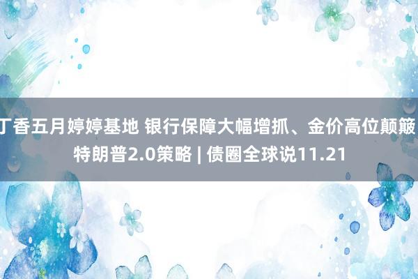 丁香五月婷婷基地 银行保障大幅增抓、金价高位颠簸、特朗普2.0策略 | 债圈全球说11.21