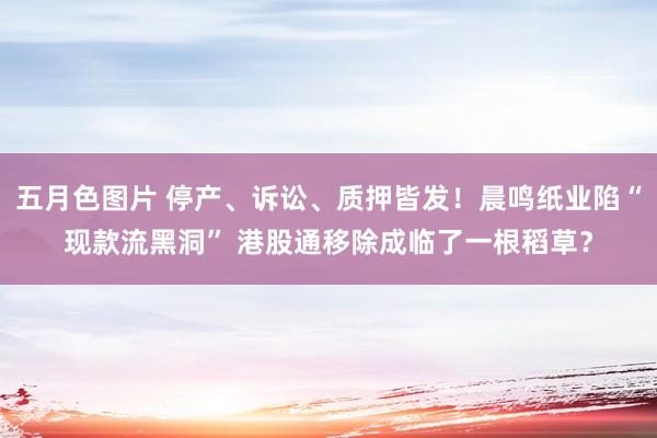 五月色图片 停产、诉讼、质押皆发！晨鸣纸业陷“现款流黑洞” 港股通移除成临了一根稻草？
