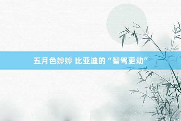 五月色婷婷 比亚迪的“智驾更动”