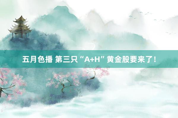 五月色播 第三只“A+H”黄金股要来了！
