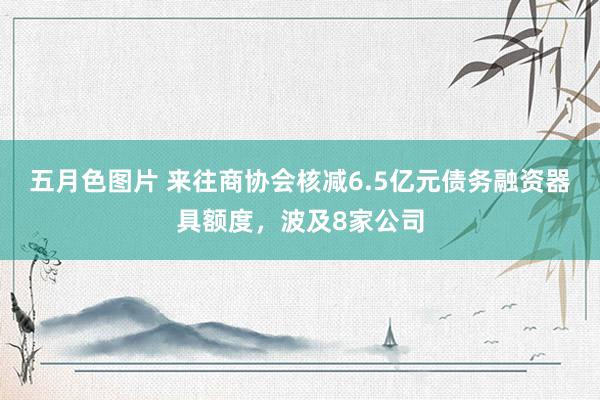 五月色图片 来往商协会核减6.5亿元债务融资器具额度，波及8家公司