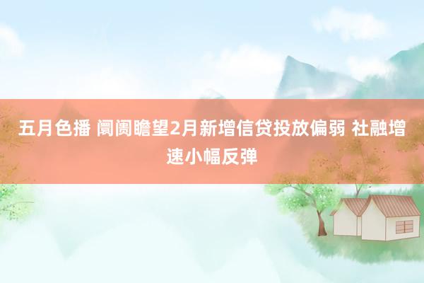 五月色播 阛阓瞻望2月新增信贷投放偏弱 社融增速小幅反弹