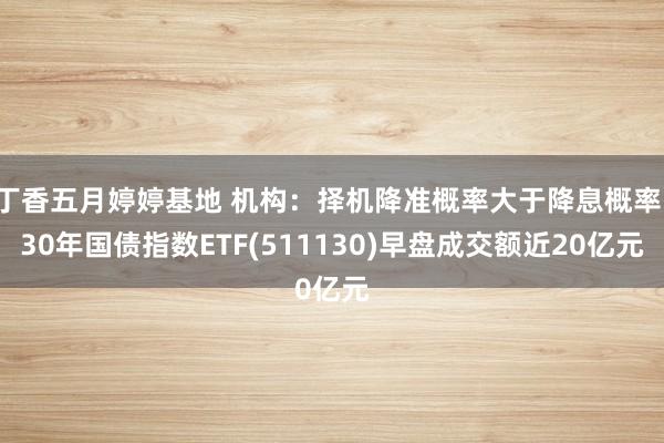 丁香五月婷婷基地 机构：择机降准概率大于降息概率，30年国债指数ETF(511130)早盘成交额近20亿元